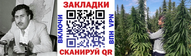 Какие есть наркотики Гаджиево Гашиш Alpha-PVP МЕФ Марихуана