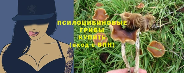 прущая мука Верхний Тагил