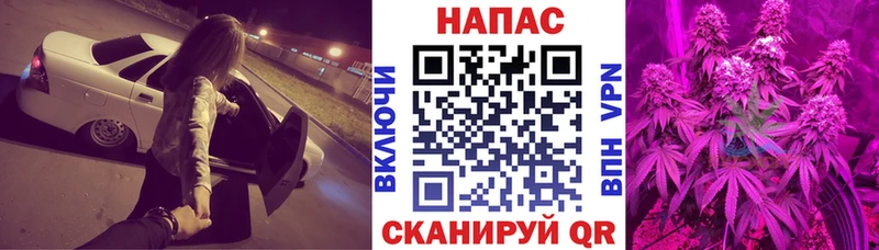 Бошки марихуана гибрид  Гаджиево 